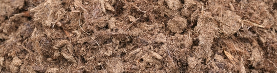 /images/sphagnum til rhodobutik 21102011.jpg